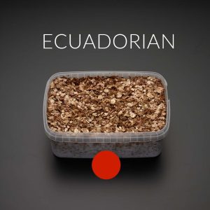 growkit ecuadorian na ciemnum tle kadr od dłuższego boku