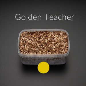 GOLDEN TEACHER GROWKIT
