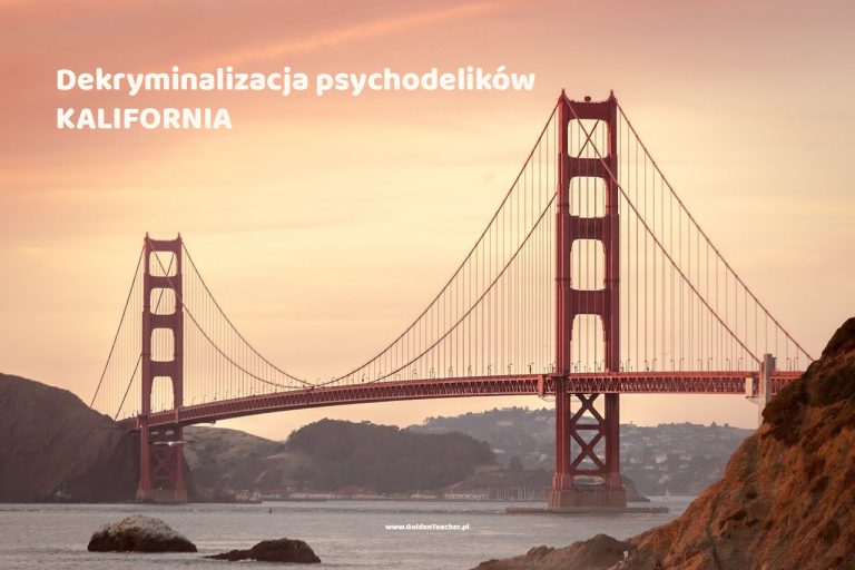 dekryminalizacja kalifornia