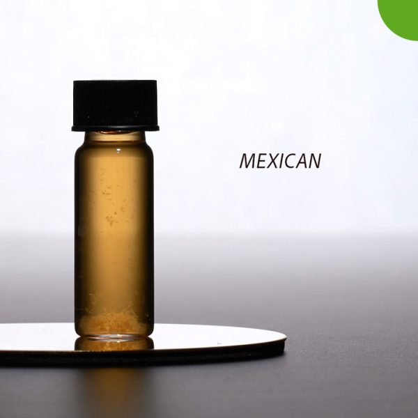 Mexican - zarodniki - "strzykawka" - żywe kultury