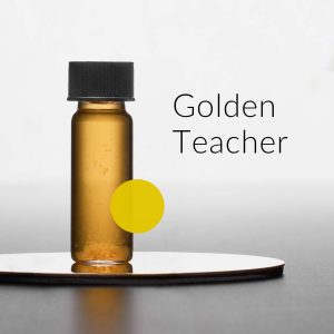 golden teacher ampułka zarodniki