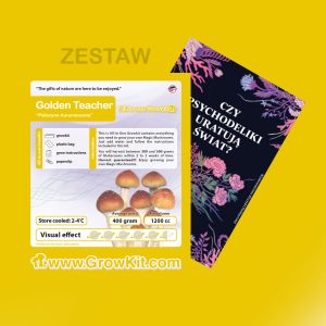 gt ksiazka
