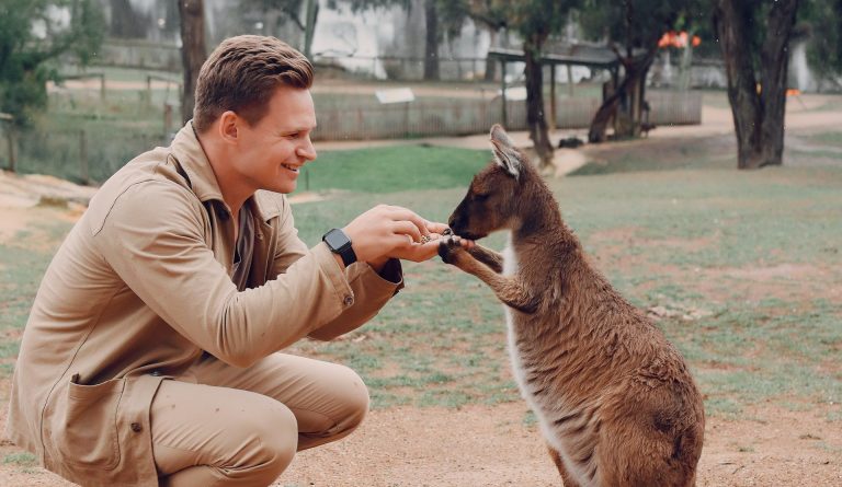 Australia psychodeliki