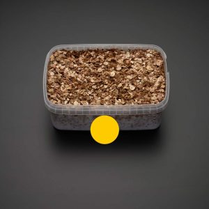 growkit golden teacher