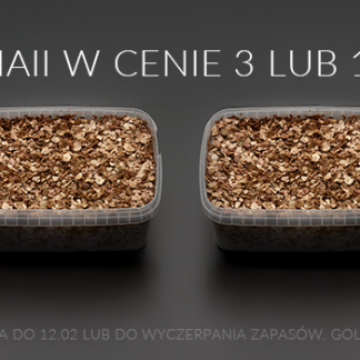 4x growkit McKennaii - w cenie 3