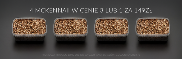 Promocja na growkity McKennaii