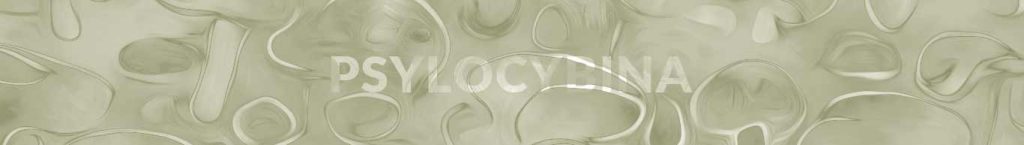 psylocybina a psylocyna