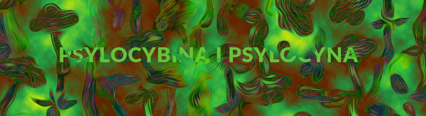 psylocybina i psylocyna grafika okladka