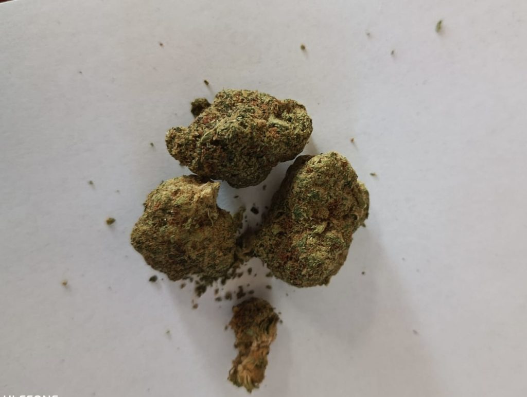 susz z thc