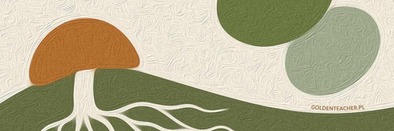 długi weekend sierpien 2025 - okladka informacji o terminach wysylek