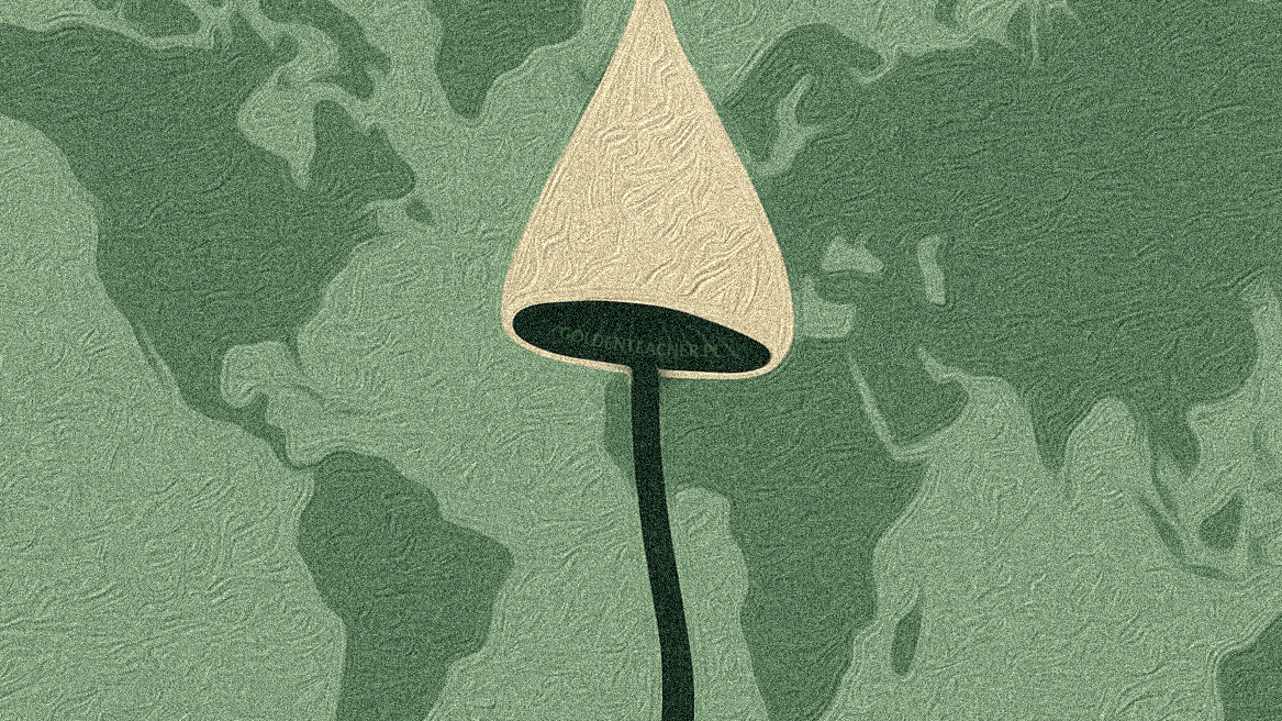 łysiczka lancetowata namalowana